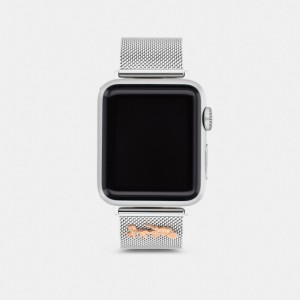 Coach Apple Watch® Strap, 38 Mm And 40 Mm Grigie | COH866273