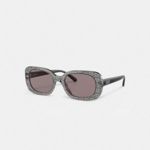 Coach Badge Rounded Square Sunglasses Grigie | COH866369