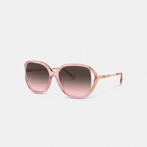 Coach Bandit Oversized Square Sunglasses Rosa Rosa Oro | COH866329
