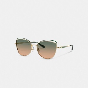 Coach Bandit Wire Oval Sunglasses Verdi Gialle | COH866349