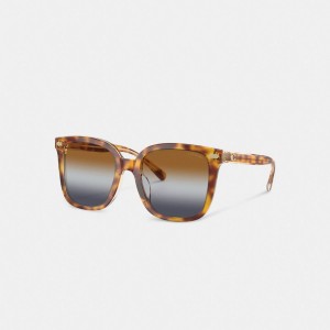 Coach Beveled Signature Oversized Square Sunglasses Marroni Blu Grigie | COH866364