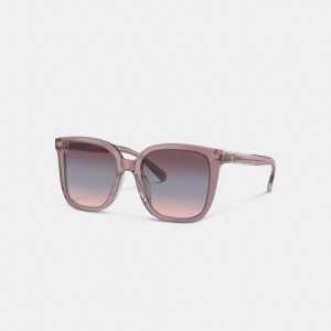 Coach Beveled Signature Oversized Square Sunglasses Rosa | COH866399