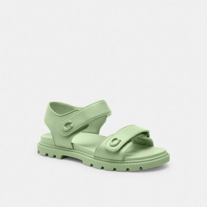Coach Brynn Sandal Senape | COH865898