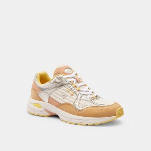 Coach C301 Sneaker Grigie Marroni | COH865815
