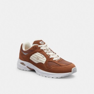 Coach C301 Sneaker Marroni | COH866793