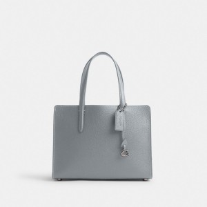 Coach Carter Carryall Bag 28 Argento Grigie Blu | COH865029