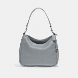 Coach Cary Shoulder Bag Argento Grigie Blu | COH864733