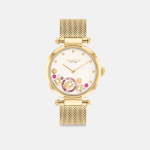 Coach Cary Watch, 34 Mm Oro | COH866246