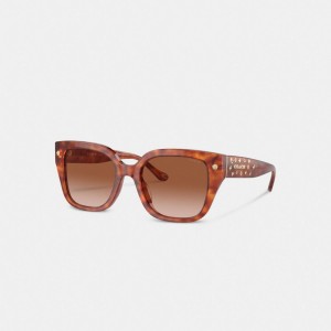 Coach Charms Oversized Square Sunglasses Marroni | COH866328