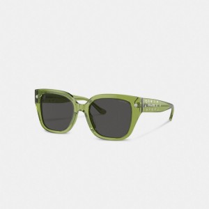 Coach Charms Oversized Square Sunglasses Verdi | COH866383