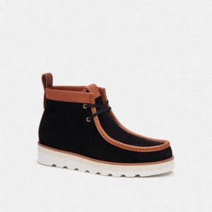 Coach Chukka Boot Nere | COH866855