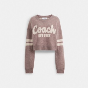 Coach Cropped Sweater Rosa | COH865984