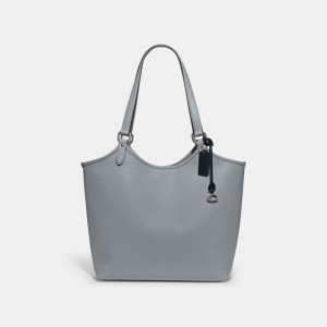 Coach Day Tote Bag Argento Grigie Blu | COH865051