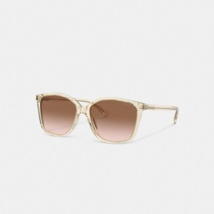 Coach Embedded Wire Square Sunglasses Marroni Rosa | COH866357