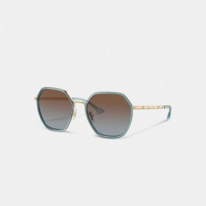 Coach Embellished Narrow Metal Hexagon Sunglasses Blu | COH866323