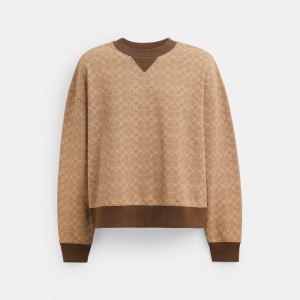 Coach Essential Signature Crewneck Marroni | COH866883