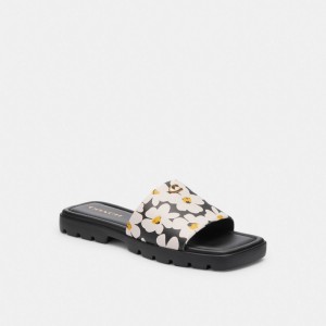 Coach Florence Sandal With Floral Print Colorate | COH865889
