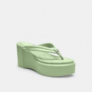 Coach Franki Flip Flop In Signature Jacquard Senape | COH865848