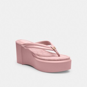 Coach Franki Flip Flop In Signature Jacquard Rosa Chiaro | COH865875