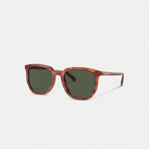 Coach Geometric Square Sunglasses Verdi | COH866336