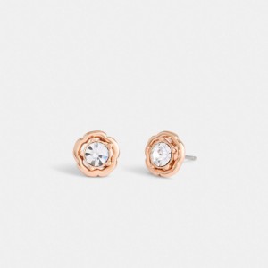 Coach Halo Tea Rose Stud Earrings Rosa Oro | COH866133