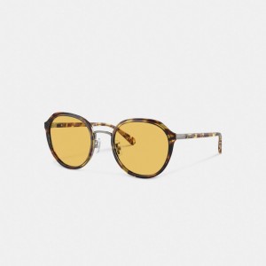 Coach Hangtag Geometric Round Sunglasses Arancioni | COH866360