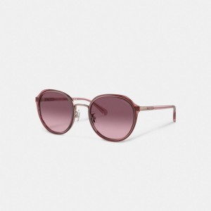 Coach Hangtag Geometric Round Sunglasses Bordeaux | COH866394