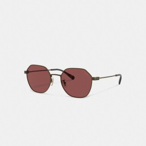 Coach Hinged Geometric Round Sunglasses Oro Bordeaux | COH867066