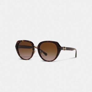 Coach Horse And Carriage Oversized Round Sunglasses Marroni | COH866376