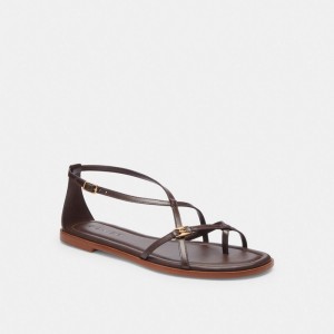 Coach Jenni Sandal Cioccolato | COH865861