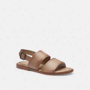 Coach Julian Two Strap Sandal Grigie Marroni | COH866846