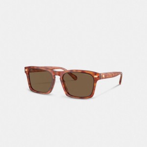Coach Keyhole Square Sunglasses Marroni | COH867072