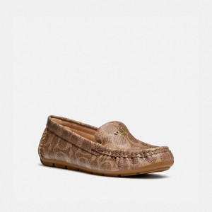 Coach Marley Driver Marroni | COH865782