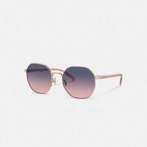 Coach Metal Hexagon Sunglasses Viola Rosa | COH866356