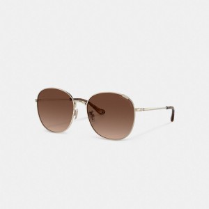 Coach Metal Round Sunglasses Marroni | COH866365