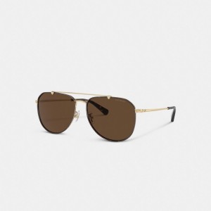 Coach Metal Windsor Pilot Sunglasses Marroni Scuro | COH867057