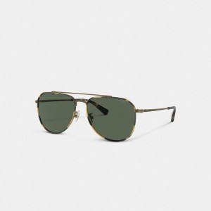 Coach Metal Windsor Pilot Sunglasses Oro | COH867078