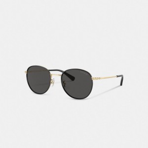 Coach Metal Windsor Round Sunglasses Nere Oro Chiaro | COH867055