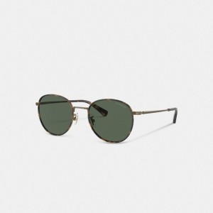 Coach Metal Windsor Round Sunglasses Oro | COH867061