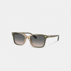 Coach Narrow Square Sunglasses Verdi Marroni | COH867083