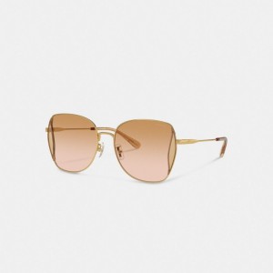 Coach Oversized Butterfly Sunglasses Corallo Rosa Colorate | COH866371