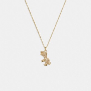 Coach Pavé Rexy Necklace Oro | COH866172