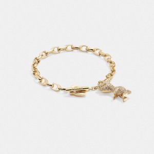 Coach Pavé Rexy Signature Chain Bracelet Oro | COH866148