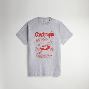 Coach Relaxed T Shirt: Flower Pot Grigie Colorate | COH865969
