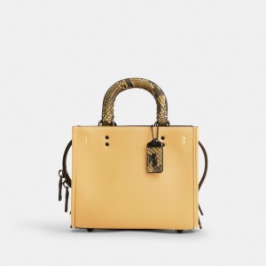 Coach Rogue 17 With Snakeskin Detail Blu Grigie | COH865167