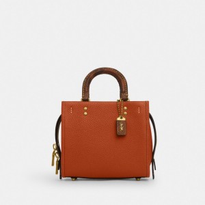 Coach Rogue 20 In Regenerative Leather With Snakeskin Detail Marroni | COH865173