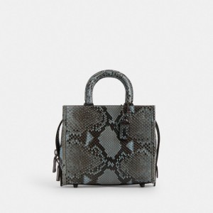 Coach Rogue 20 In Snakeskin Blu Grigie Blu | COH865174
