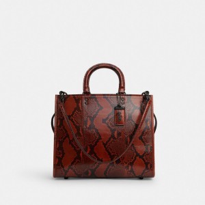 Coach Rogue Bag In Snakeskin Blu Grigie Arancioni | COH865135