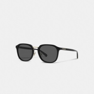 Coach Rounded Geometric Sunglasses Nere | COH867085