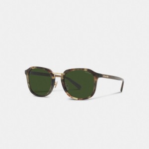 Coach Rounded Geometric Sunglasses Verdi | COH867069
